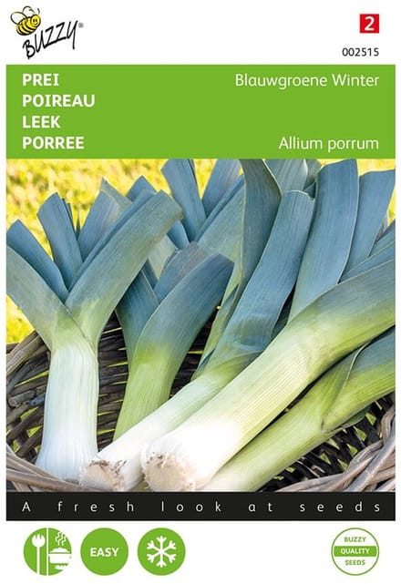 Buzzy® Prei Blauwgroene Winter