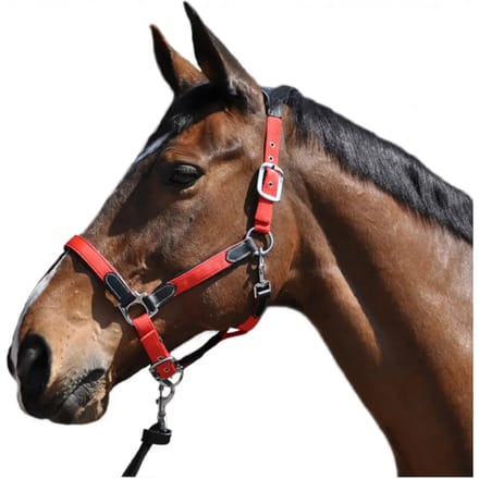 Nylon/leren halster Flags&Cup