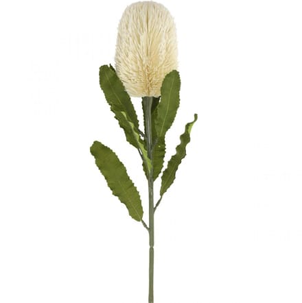 Kunstbloem Banksia Wit Crème Kunstmatige Exoten 64cm
