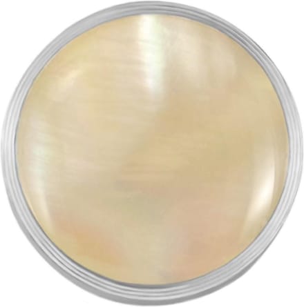 Quiges RVS Verwisselbare Mini Munt Lichtbruine Schelp - SLSRC005