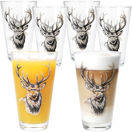 Set van 6 ALOIS drinkglazen voor 6 personen