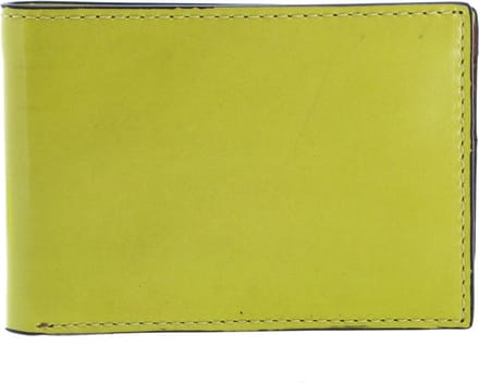 FOSSIL Portemonnee Benedict Bifold Wallet Chartreuse Groene