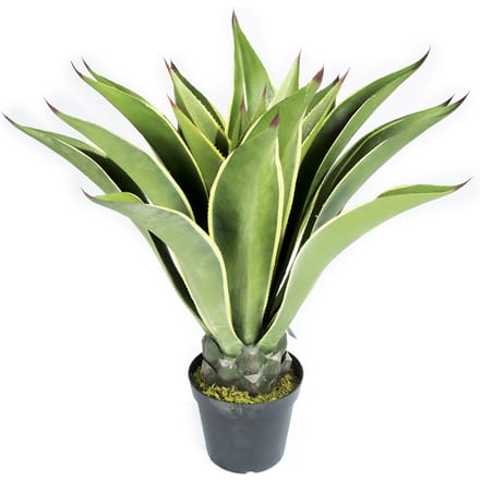 Intergard Kunstplant Agave 98cm