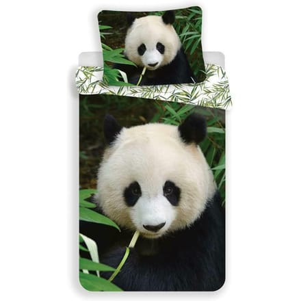 Animal Pictures Panda - Dekbedovertrek - Eenpersoons - 140 x 200 cm - Multi