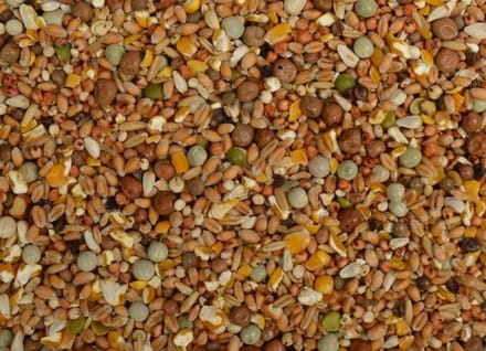 Uniestar Sierduivenvoer 20 kg