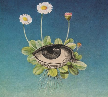 øjeRum - The Limited Circle Is Pure (CD) (Limited Edition)