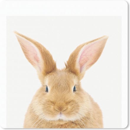 Muismat 20x20 cm - Mousepad Dieren - Konijn - Wit - Muismatten