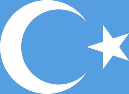 Vlag Oeigoeren 70x100cm