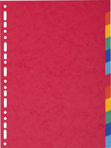 Exacompta Tabbladen gerecycleerd karton 220g - 12 tabs - A4 maxi - Geassorteerd - 2112E