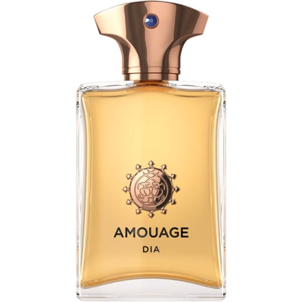 Amouage - Dia Man Eau de Parfum 100 ml - Mannen Parfum - Discontinued