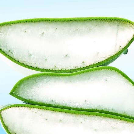 [By Wishtrend] Blue Oasis Aloe Hydrating Serum 30ml white
