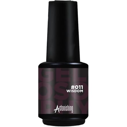 Astonishing Gelosophy 011 wisdom 15ml