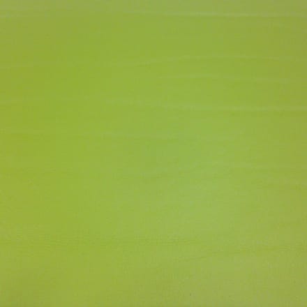 Coaster Leather Dumbo 10 x 10 cm Lime