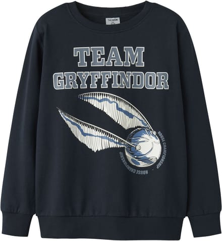NAME IT - TKMTHAT HARRYPOTTER SWEAT BRU NOOS WAB - Jongens - Sweaters
