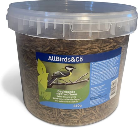 Allbirds&Co Gedroogde Meelwormen In Emmer - Tuinvogelvoer - 850 g