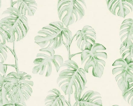 MONSTERA BLAD BEHANG | Botanisch - groen wit - A.S. Création Greenery