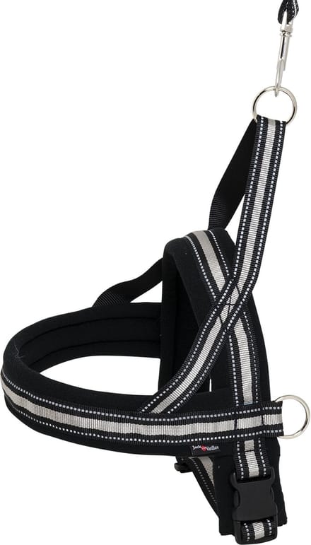 Jack and vanilla honden tuig 30 cm- zeer zacht gevoerd. klein