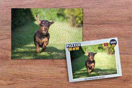 Puzzel Een sprintende Teckel - Legpuzzel - Puzzel 500 stukjes