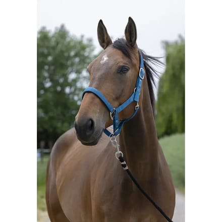 Satijnen paardenhalster Norton