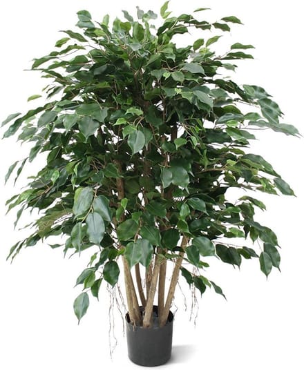 Ficus Exotica XL kunstplant 110cm
