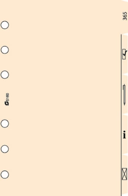 Succes A5/Executive 5 Tabkaarten Symbolen, Papier, Crème (XE160)