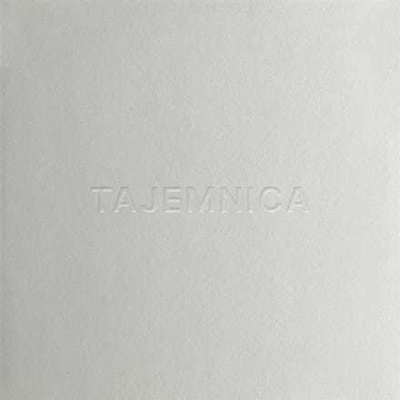 Spalarnia - Tajemnica (LP)