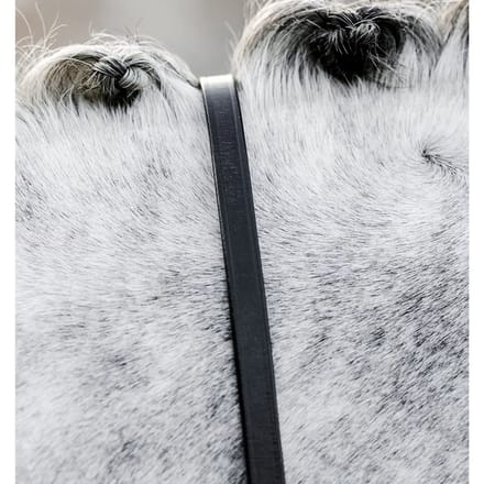 Teugels voor paarden Horseware