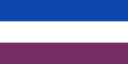 Vlag Montigny-le-Tilleul 100x150cm