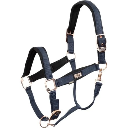 Halster voor paarden BR Equitation Rose Gold