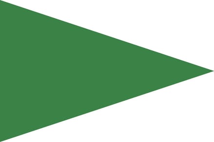 Groene Puntvlag 50x75cm