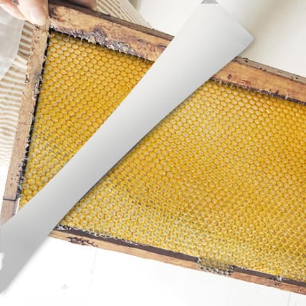 Multifunctioneel Roestvrij Staal Honing Snijmes Schraper Bijenhouderij Gereedschap beige