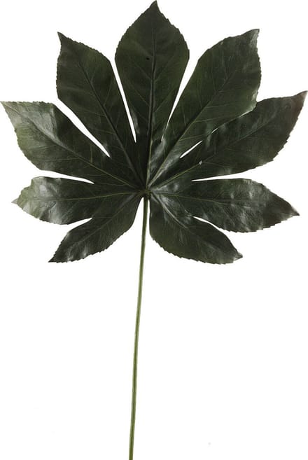 Emerald - Kunsttak Fatsia Blad 55cm - Kunstplant voor binnen