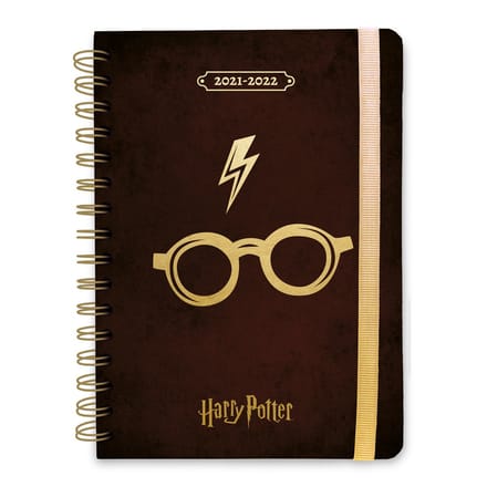 Harry Potter - Harry's Glasses 2021/2022 A5 Academisch Dagboek