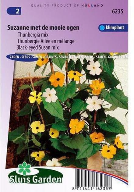 Sluis Garden - Suzanne met de Mooie Ogen (Thunbergia alata)