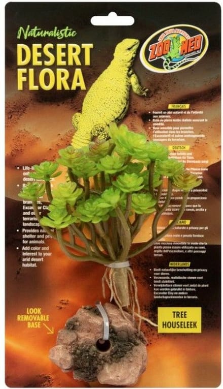 Zoo Med Terrariumplant - Tree Houseleek