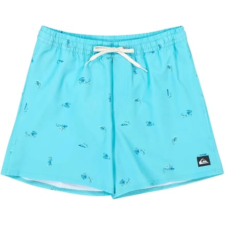 Quiksilver Stretch Printed Volley 16´´ Zwembroek Blauw M Man