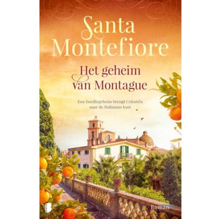 Het Geheim Van Montague - Santa Montefiore