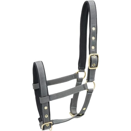 Nylon hoofdstel voor paard Kieffer
