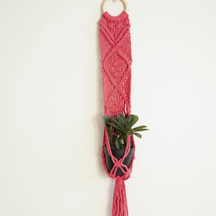 Macramé Pakket Planthanger Bali Coral