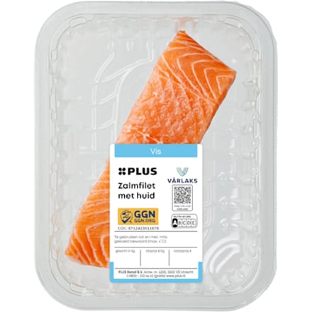 Zalmfilet met huid