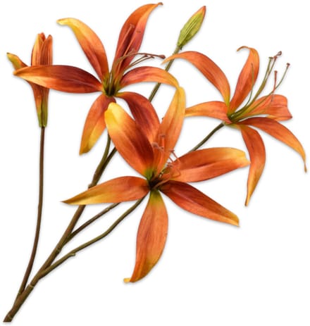 Lelie tak oranje/geel 80 cm