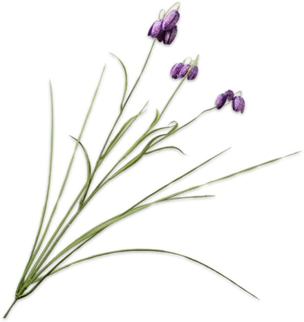 Silk-ka - Kunstbloem - paars - H71 cm