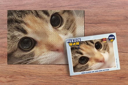 Puzzel Een close-up van een kitten - Legpuzzel - Puzzel 1000 stukjes volwassenen