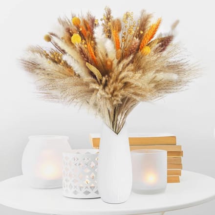 Gedroogde bloemen - Pampas gras - Herfst decoratie - Natuurlijke boho stijl - 1.0 Gram - Wit