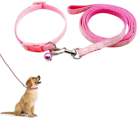 Solidchoice - Zachte Verstelbare Puppy Halsband en Riem Set