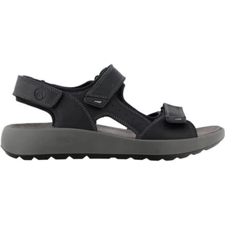 Ara 11-21506 piero