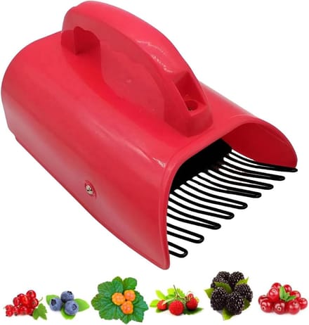 Bessenplukker Handvat - Fruitverzamelaar Hark - Efficiënt Oogsten - Ergonomische Grip - 29 x 20 x 8.9 cm - Groen