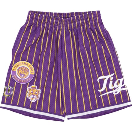 Basketbalshort heren NCAA Hometown Mesh Short Loutig Paars