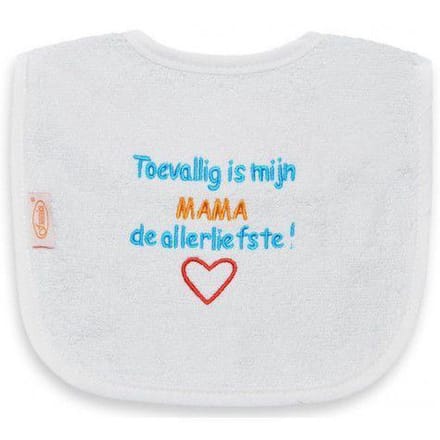 Slab met "Toevallig is mijn MAMA de allerliefste"