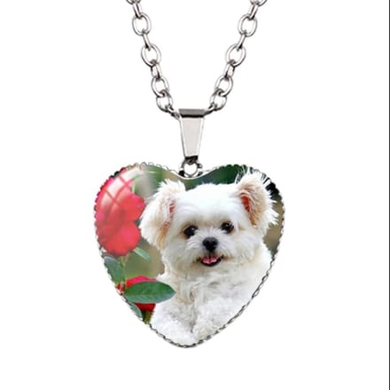 Ketting - Hartvorm - Hond - Verzilverd - Glazen Kapje - Emmyrovi